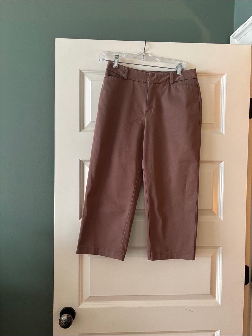 Charter Club Chocolate Brown Capris
